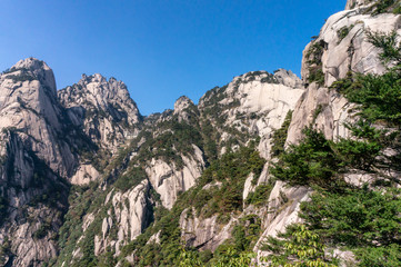 Fototapeta premium Oddly-shaped rocks on a foggy day, Huangshan Mountain in China.