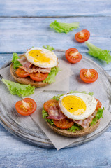 Fototapeta na wymiar Traditional sandwich with fried bacon