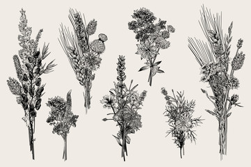 Set bouquets. Design elements. Flowers and plants of fields and forests. Vector vintage botanical illustration. Black and white
