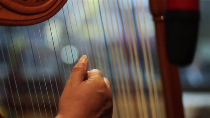 Male Hand Playing Paraguayan Harp. Recording in the Studio. Close-Up. Full HD .