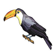 Egypt. Cairo - Giza. General view of pyramids from the Giza Plateau (three pyramids known as Queens' Pyramids on front side; next in order from left: the Pyramid of Menkaure, Khafre and Chufu.Sketch