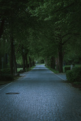 alley in the park