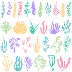 Aquarium seaweed silhouette. Underwater planting plant and seaweeds for aquariums decor. Sea plants vector set © Tartila