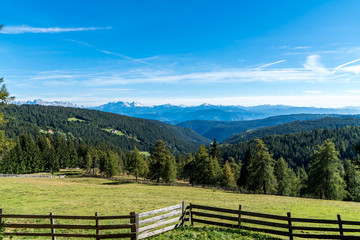 Fototapeta na wymiar Almwiese mit Holzzaun und Wald mit Blick in die Dolomiten