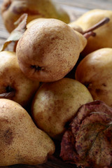 Ripe pears, healthy organic food.