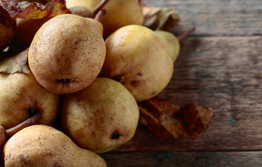 Ripe pears, healthy organic food.