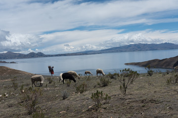 Bolivian Landscape