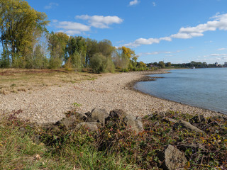 Herbst am Niederrhein bei Wesel