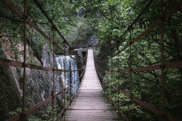 wooden bridge in the forest