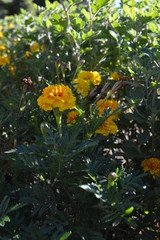 Запорiжжя.Осiнь 2018...