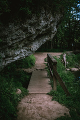 wooden bridge in the forest