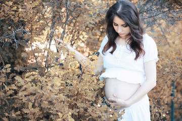 Pregnant woman in nature for a walk in the autumn