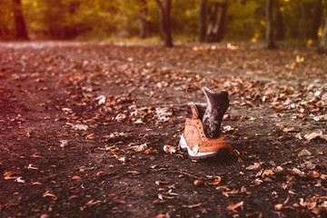an brogue in the autumn forest
