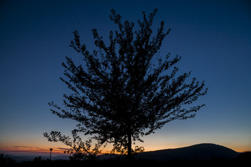 Fototapeta na wymiar tree silhouette in mountain sunset