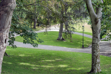 Green park tree outdoor with bench sunlight,beautiful park in the city