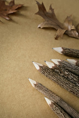 Wooden twig pencils with paper and leaves