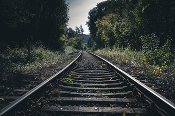 Obraz premium railway in forest