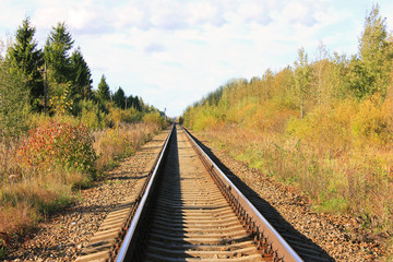 Fototapeta na wymiar Railroad Train Track Sleepers Pathway on Autumn Landscape. Panoramic Commute Train Railway Path Perspective, Rural Outdoor Nature Fall Background. Transportation, Logistic, Trains Rail Road Concept