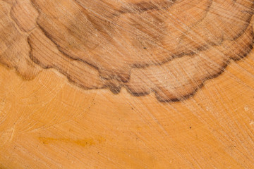 Old wood pattern texture and background