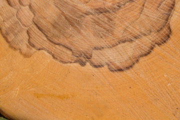 Old wood pattern texture and background