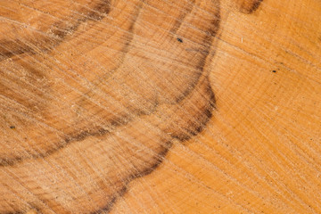 Old wood pattern texture and background