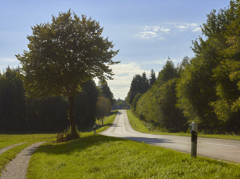 Landstrasse-Wald