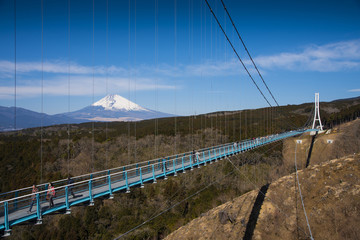 Fototapeta na wymiar Mt.Fuji with blue sky at Mishima skywalk, Japan
