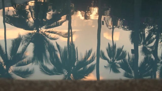 Paradise Palms. Beautiful poolside reflection near Puerto Princesa on the Palawan Island of the Philippines.