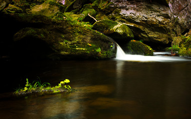 stream in forest