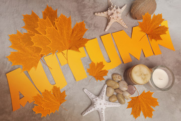 Autumn accessories and big letters