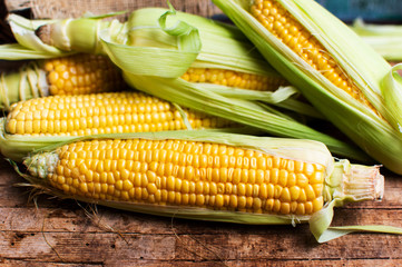 Raw corn on a rustic wooden table