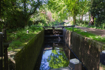 A canal lock and gates on the Basingstoke canal along the section near Woking on a sunny morning in spring