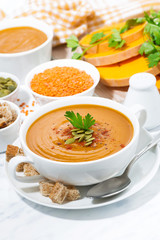 soup of pumpkin and lentils in a bowl on white background, vertical