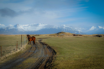 Riding in mountains