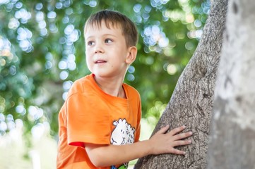 Cute Caucasian blue eye child in an orange T-shirt climbing the tree in a park or forest. Blurred background.