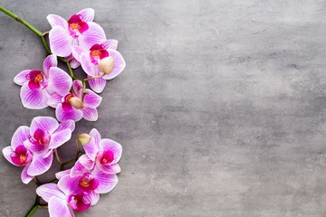 Foto auf Acrylglas Orchidee Schönheitsorchidee auf grauem Hintergrund. Spa-Szene.