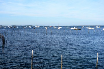 bassin d'arcachon