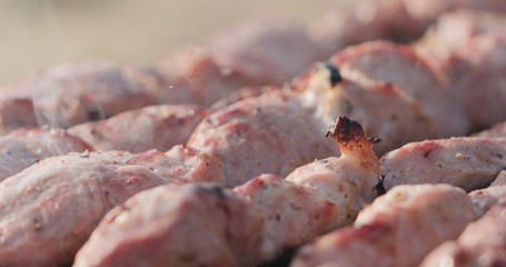 closeup cooking pork shashlik on skewers outdoor