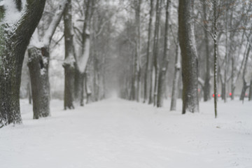 Fototapeta premium winter town alley covered with snow
