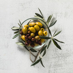 assortment of olives in a transparent bowl and a branch of olive tree. snack or appetizer. hors...