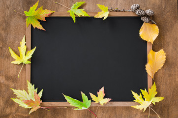 Autumn background with fall leavesand and cones on wooden table.