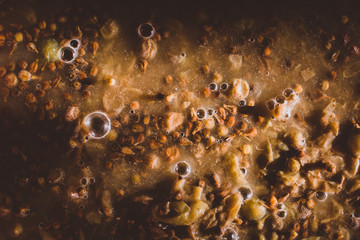 crushed grapes wine making