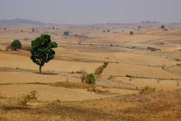 Fototapeta premium Burma landscape