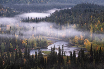 Scenic landscape view with morning fog and fall colors at moody day in Kuusamo, Finland - 226376893