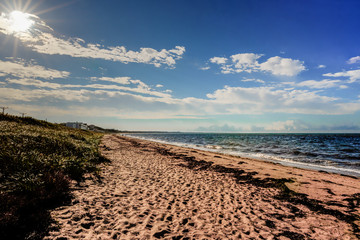 A lonely beach out on the cape  cod national seashore