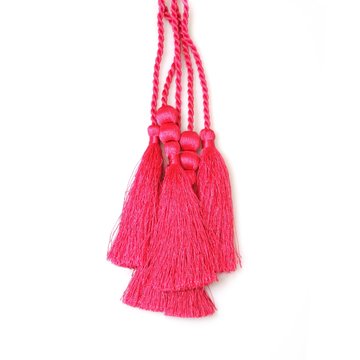 Silk tassel isolated on white background for creating graphic concepts