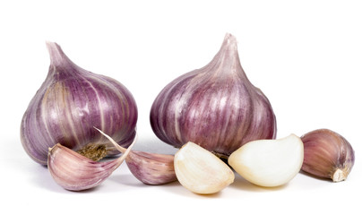 garlic on white background