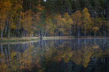 Person standing on a pier by the lake surrounded by autumn colored forest