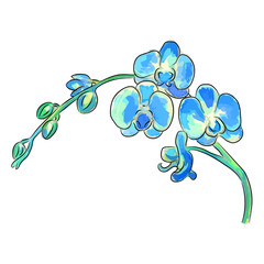 The watercolor vector illustration of blue orchid flowers.