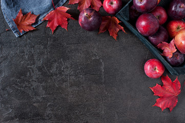 Black background with autumn red apples and leaves